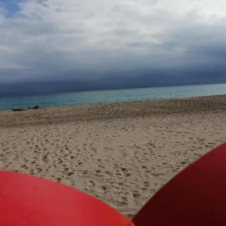 Mi Colibri-